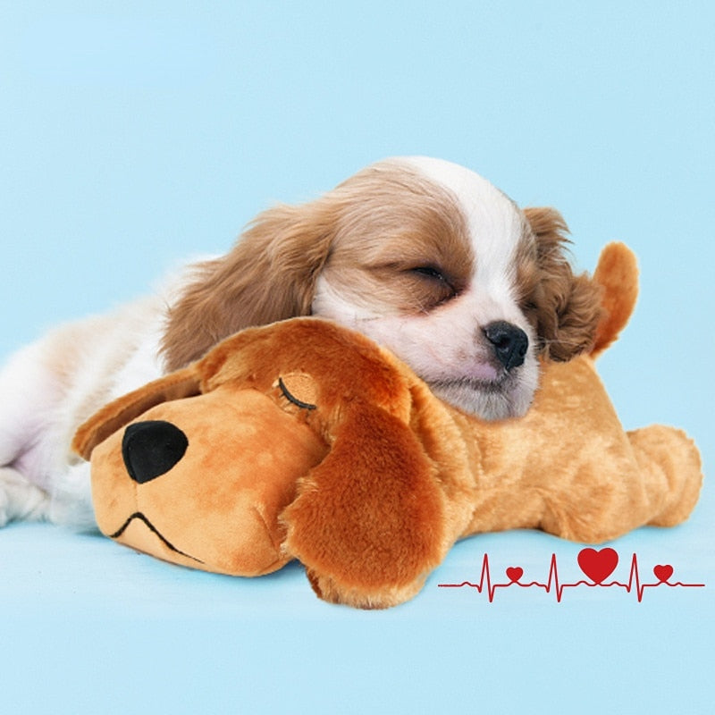 Heartbeat Calming Plush Bear Toy for Pets – Heartwyn™