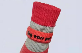 Waterproof Non-Slip Pet Socks with Adjustable Fit – PawShield™