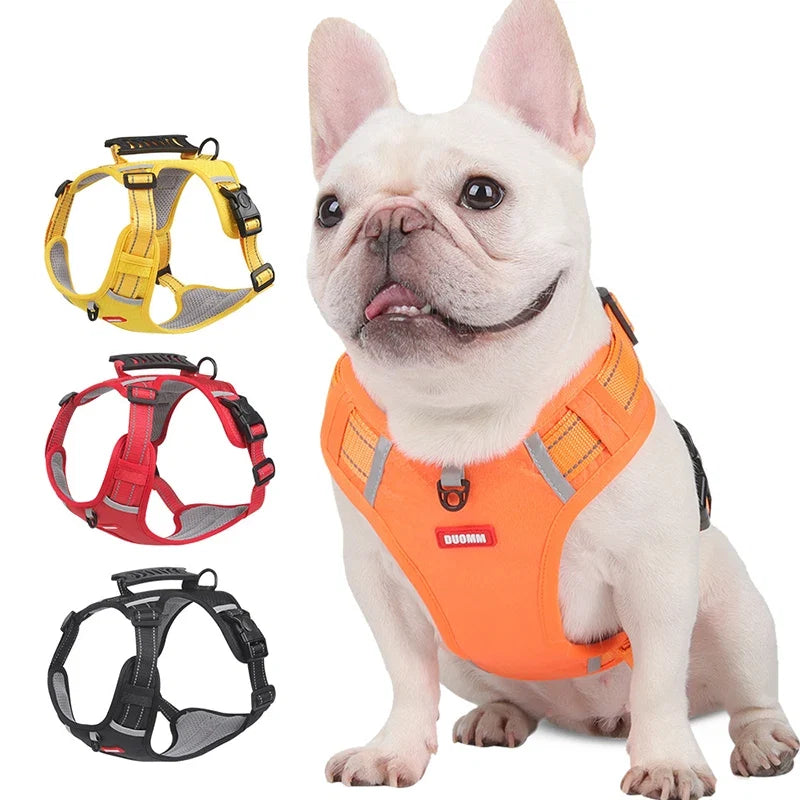 Adjustable Reflective Chest Harness for Small to Large Pets – Zeko™