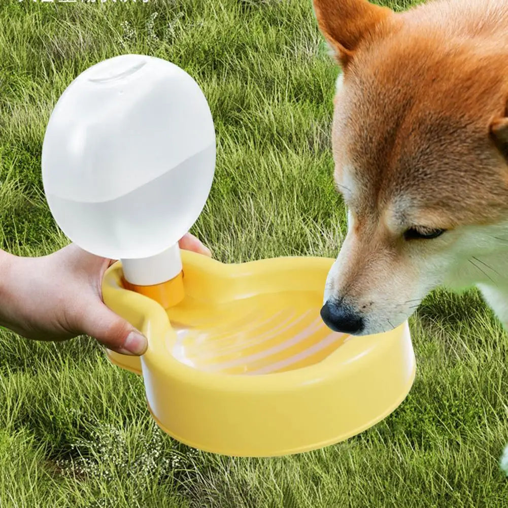 Portable Automatic Pet Water Dispenser – Aquilo™