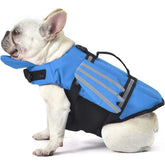 Dog Life Jacket with Head Support & Reflective Trim – Tidelo™