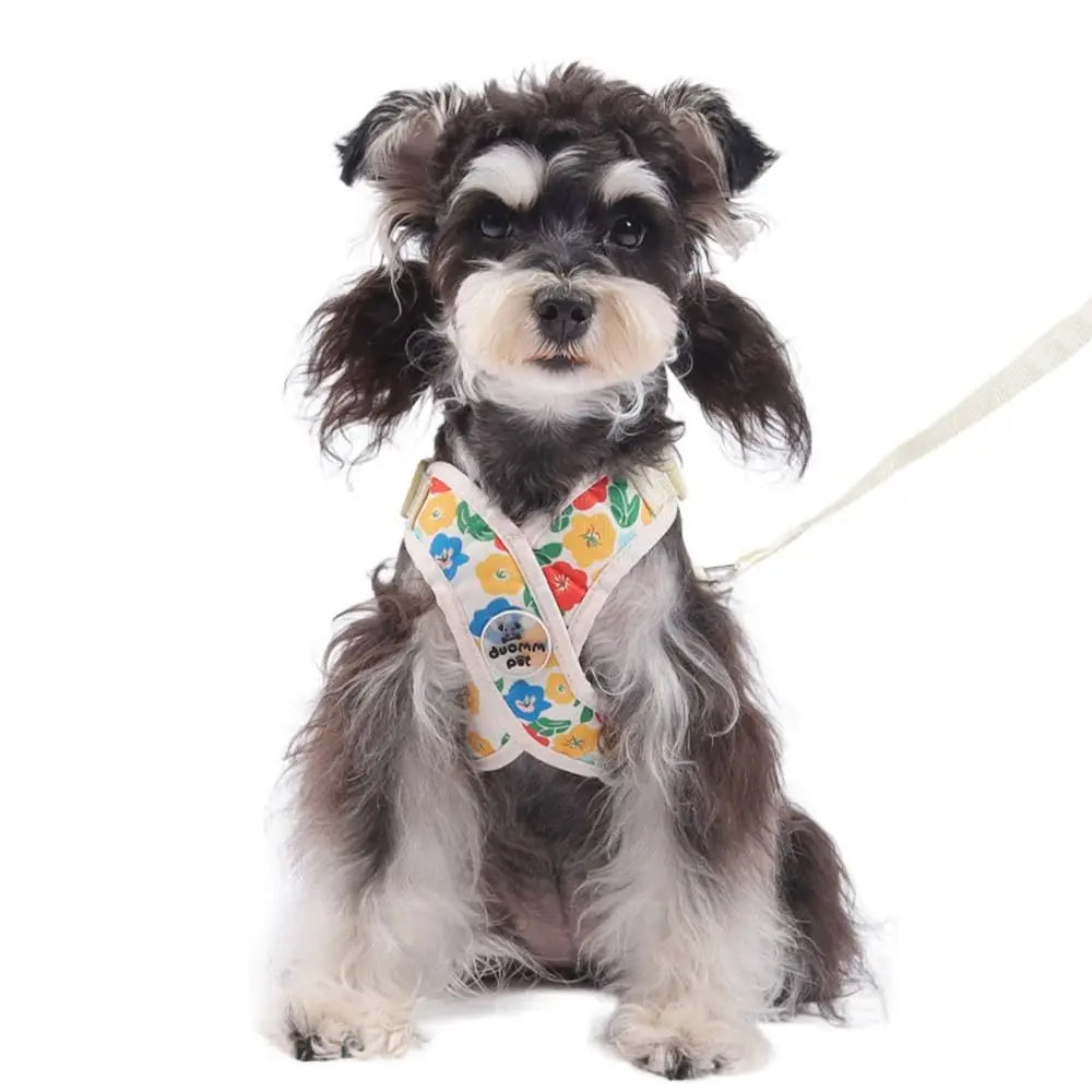 Floral Print Polyester Mesh Collar & Leash Set for Pets – Blithe™