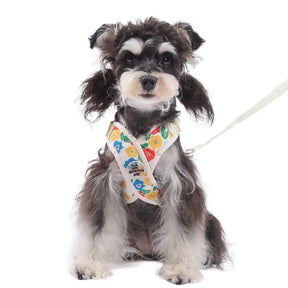 Floral Print Polyester Mesh Collar & Leash Set for Pets – Blithe™