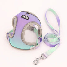 Collar & Leash Set with Reflective Strip for Dogs & Cats – Wagloop™
