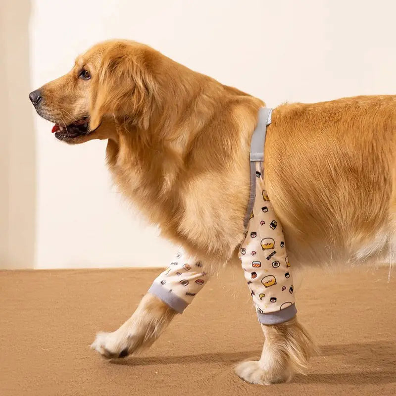 Adjustable Dog Elbow Protector Sleeve for Joint Support – Jointra™