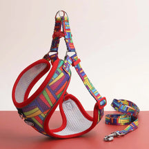 Soft Polyester Collar and Leash Set for Dogs and Cats – Kivora™