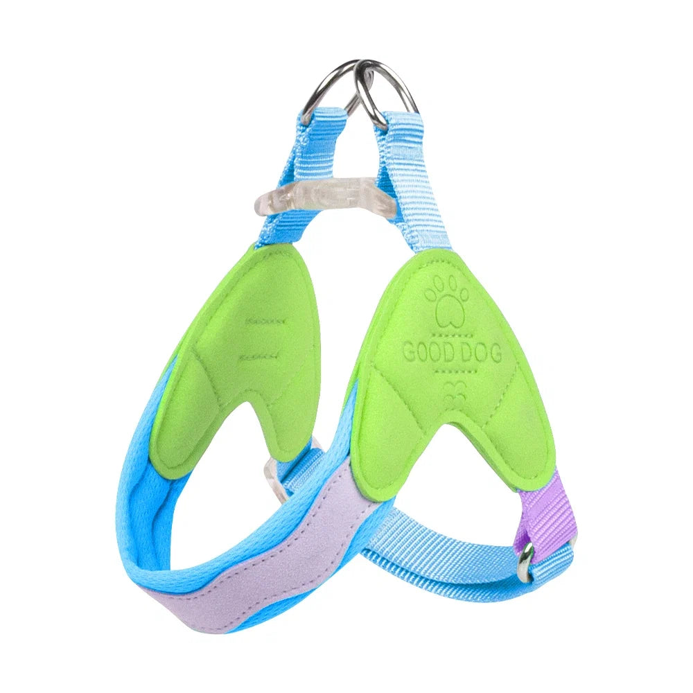 No-Pull Padded Pet Collar with Quick-Release Buckle – Huxlo™