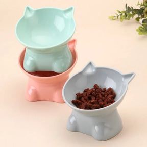 45° Angled Non-Slip Pet Bowl for Small & Medium Dogs & Cats – Anglix™