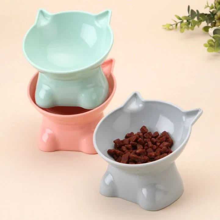45° Angled Non-Slip Pet Bowl for Small & Medium Dogs & Cats – Anglix™