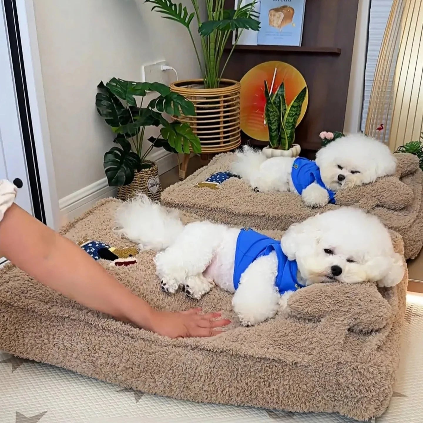 Pet Mattress Bed with Removable Cover & Pillow – Cushora™