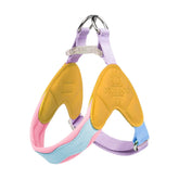 No-Pull Padded Pet Collar with Quick-Release Buckle – Huxlo™
