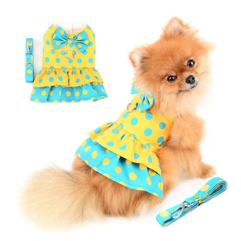 Polka Dot Dress Collar & Leash Set for Pets – Twirla™