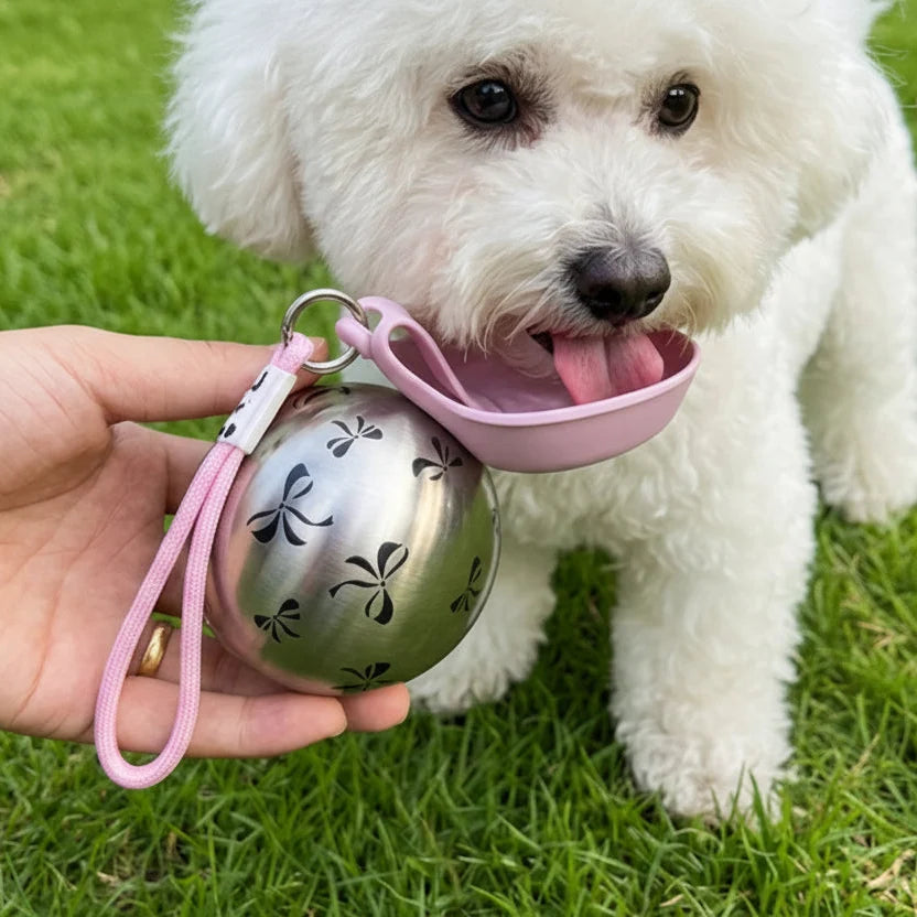Portable Stainless Steel Pet Water Bottle with Foldable Bowl – Fluvo™