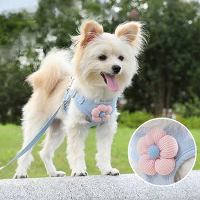 Soft Polyester Collar & Leash Set for Dogs & Cats – Corda™