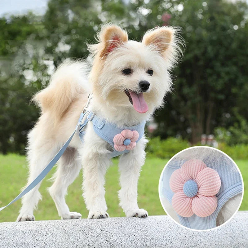 Soft Polyester Collar & Leash Set for Dogs & Cats – Corda™