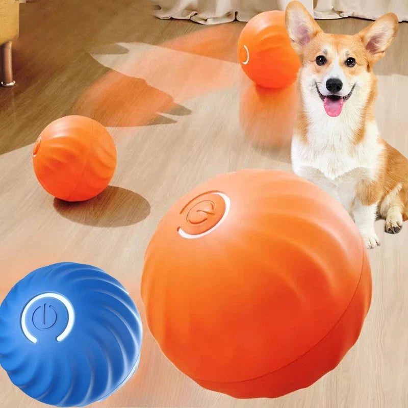 USB Rechargeable Automatic Rolling Fetch Ball Toy for Pets – Rovetta™