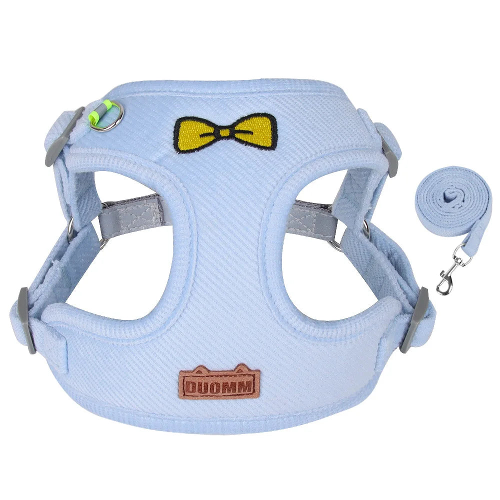 Velvet Collar & Leash Set for Small to Medium Dogs – PlushLead™