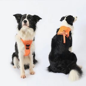 Retractable Dog Harness & Leash Set with Adjustable Straps – Retrako™