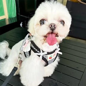Soft Nylon Chest Harness & Leash Set for Dogs and Cats – Doko™