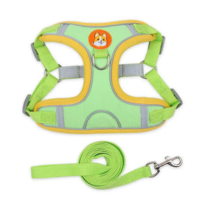 Polyester Mesh Dog Collar & Leash Set for Small to Large Dogs – Nokwell™