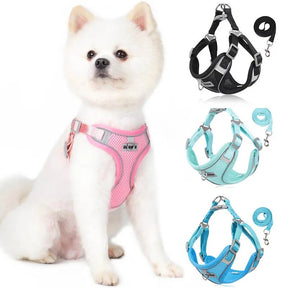 Adjustable Harness, Collar & Leash Set for Small to Medium Dogs – WalkFit™