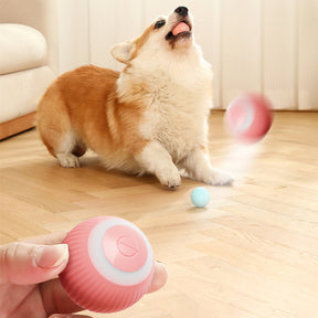 Self-Rolling Automatic Ball Pet Toy with USB Charging – Zumio™