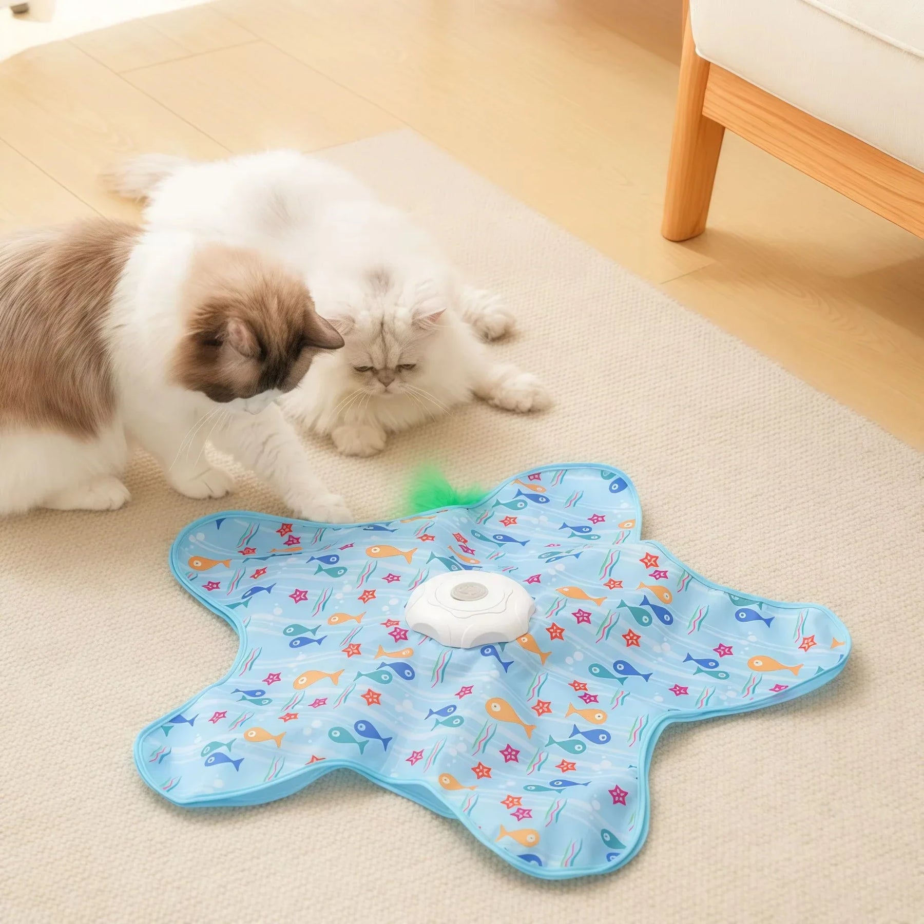 Interactive Rechargeable Motion Toy for Cats – Squigglo™