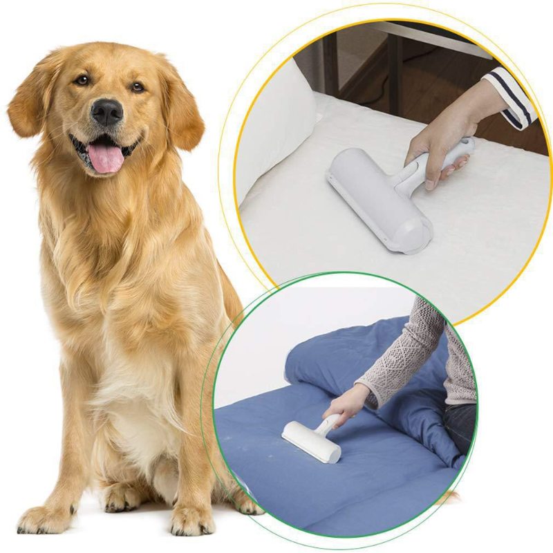 Reusable Pet Hair Remover Brush with Self-Cleaning Container – ShedAway™