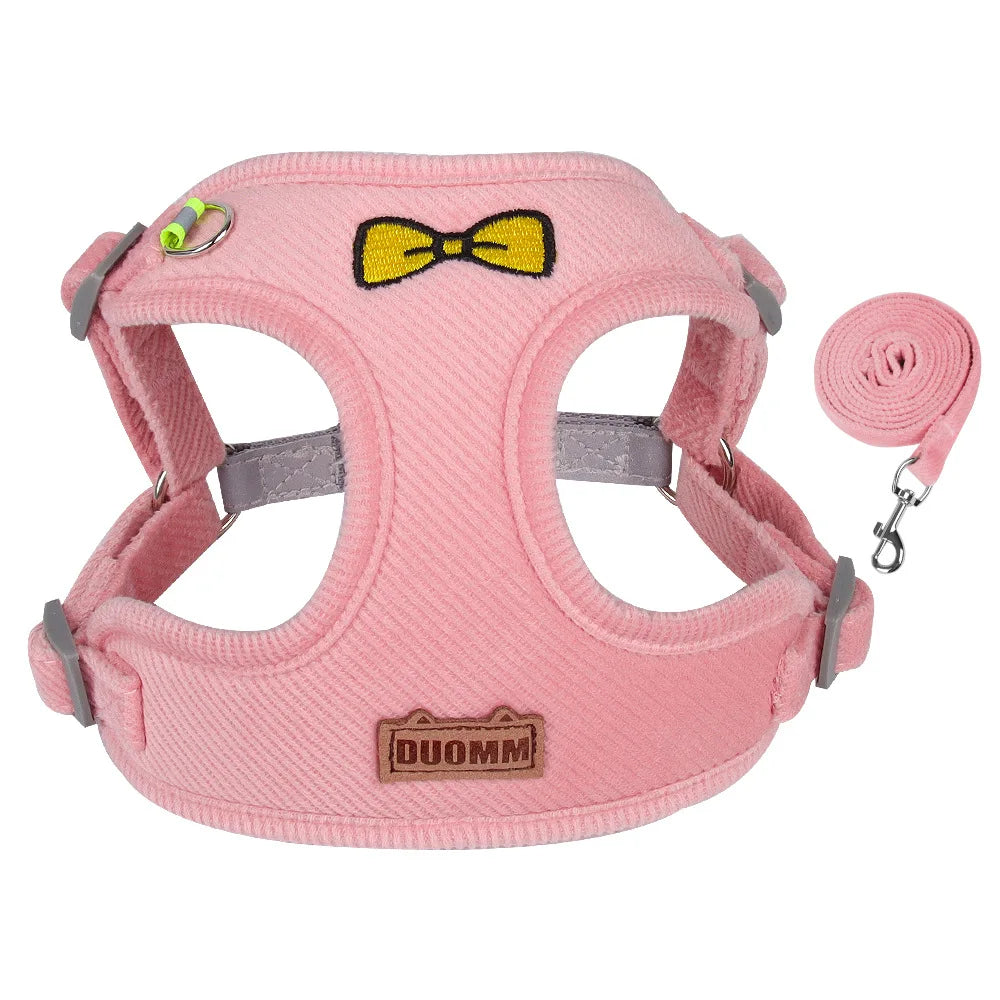 Velvet Collar & Leash Set for Small to Medium Dogs – PlushLead™