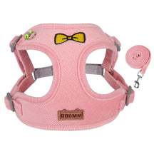 Velvet Collar & Leash Set for Small to Medium Dogs – PlushLead™