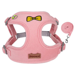 Velvet Collar & Leash Set for Small to Medium Dogs – PlushLead™