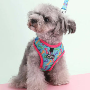 Soft Polyester Collar and Leash Set for Dogs and Cats – Kivora™