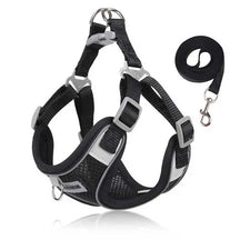 Adjustable Harness, Collar & Leash Set for Small to Medium Dogs – WalkFit™