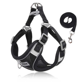 Adjustable Harness, Collar & Leash Set for Small to Medium Dogs – WalkFit™