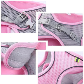 Reflective Collar & Leash Set for Dogs & Cats – Kinlo™