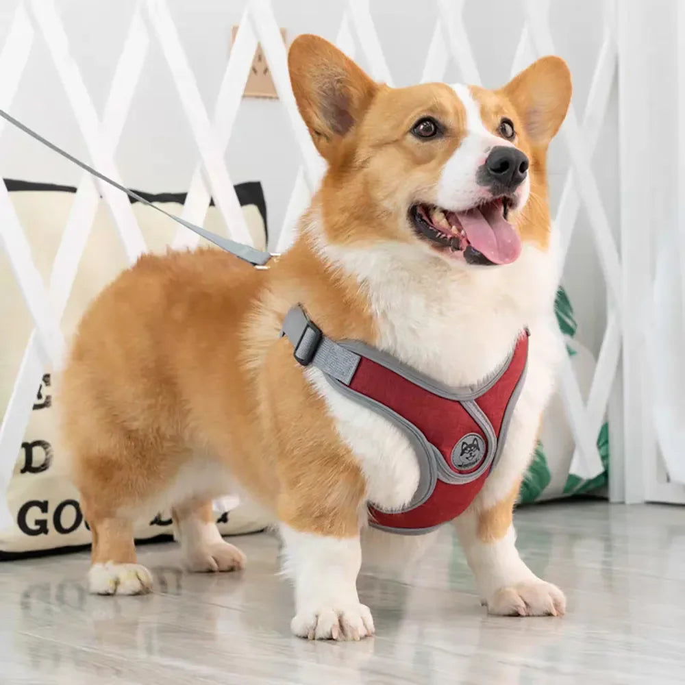 Soft Reflective Nylon Chest Harness for Dogs & Cats – Dovex™