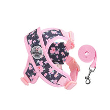 Floral Print Polyester Mesh Collar & Leash Set for Pets – Blithe™