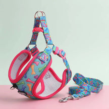 Soft Polyester Collar and Leash Set for Dogs and Cats – Kivora™