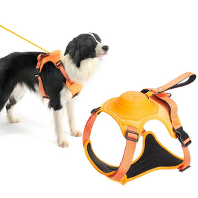 Retractable Dog Harness & Leash Set with Adjustable Straps – Retrako™