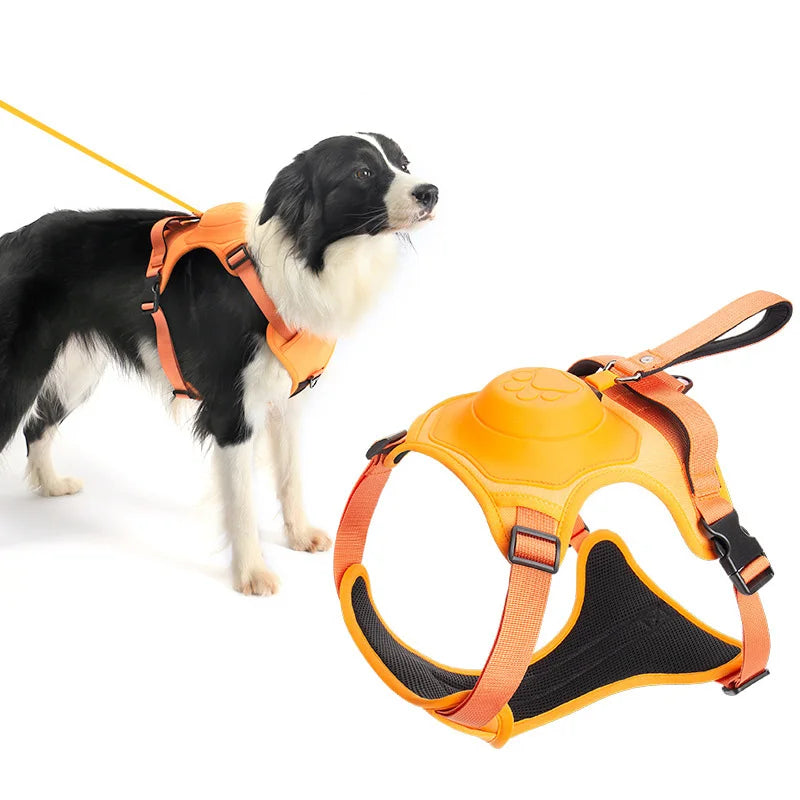 Retractable Dog Harness & Leash Set with Adjustable Straps – Retrako™