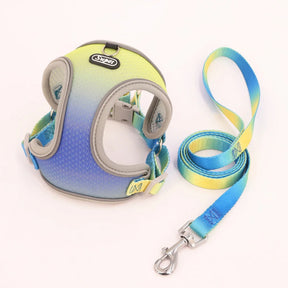 Collar & Leash Set with Reflective Strip for Dogs & Cats – Wagloop™