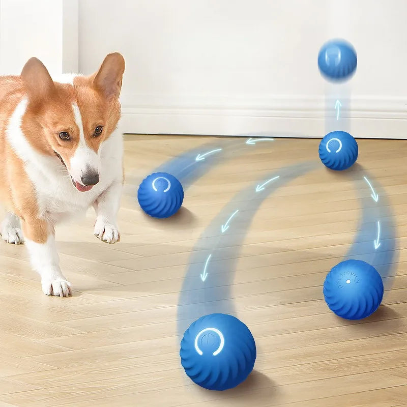 USB Rechargeable Automatic Rolling Fetch Ball Toy for Pets – Rovetta™