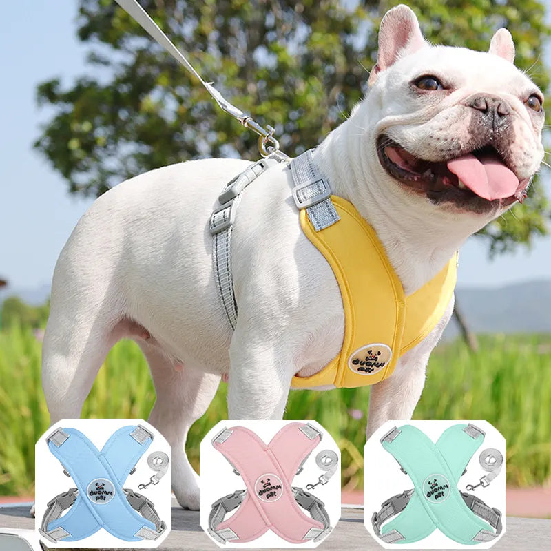 Adjustable Polyester Collar and Leash Set for Dogs and Cats – Zynn™