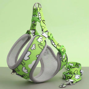 Soft Polyester Collar and Leash Set for Dogs and Cats – Kivora™