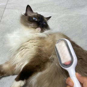 Pet Hair Removal Brush with Wipe Refill – Zestro™