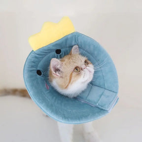 Padded Elizabethan Recovery Collar for Pets – ComfyCone™