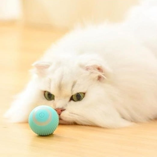 Self-Rolling Automatic Ball Pet Toy with USB Charging – Zumio™