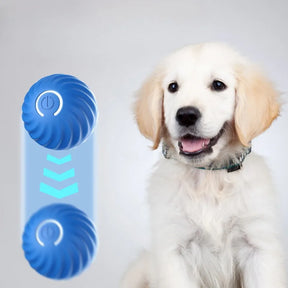 USB Rechargeable Automatic Rolling Fetch Ball Toy for Pets – Rovetta™