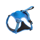 Retractable Dog Harness & Leash Set with Adjustable Straps – Retrako™