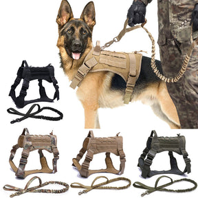Nylon Chest Harness & Leash Training Set for Medium to Large Dogs – FieldRun™